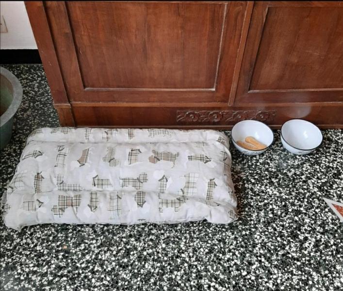 La Tana Dei Conigli Appartement Serra Rocco Buitenkant foto