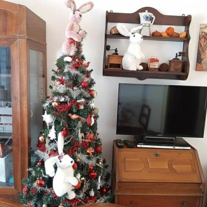 La Tana Dei Conigli Appartement Serra Rocco Buitenkant foto