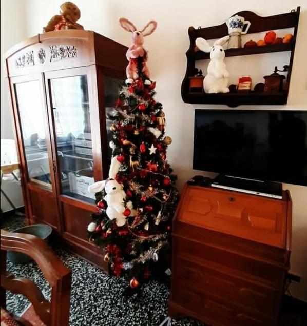 La Tana Dei Conigli Appartement Serra Rocco Buitenkant foto